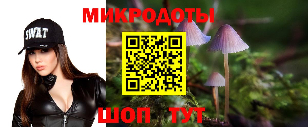 Галлюциногенные грибы Psilocybe Белогорск